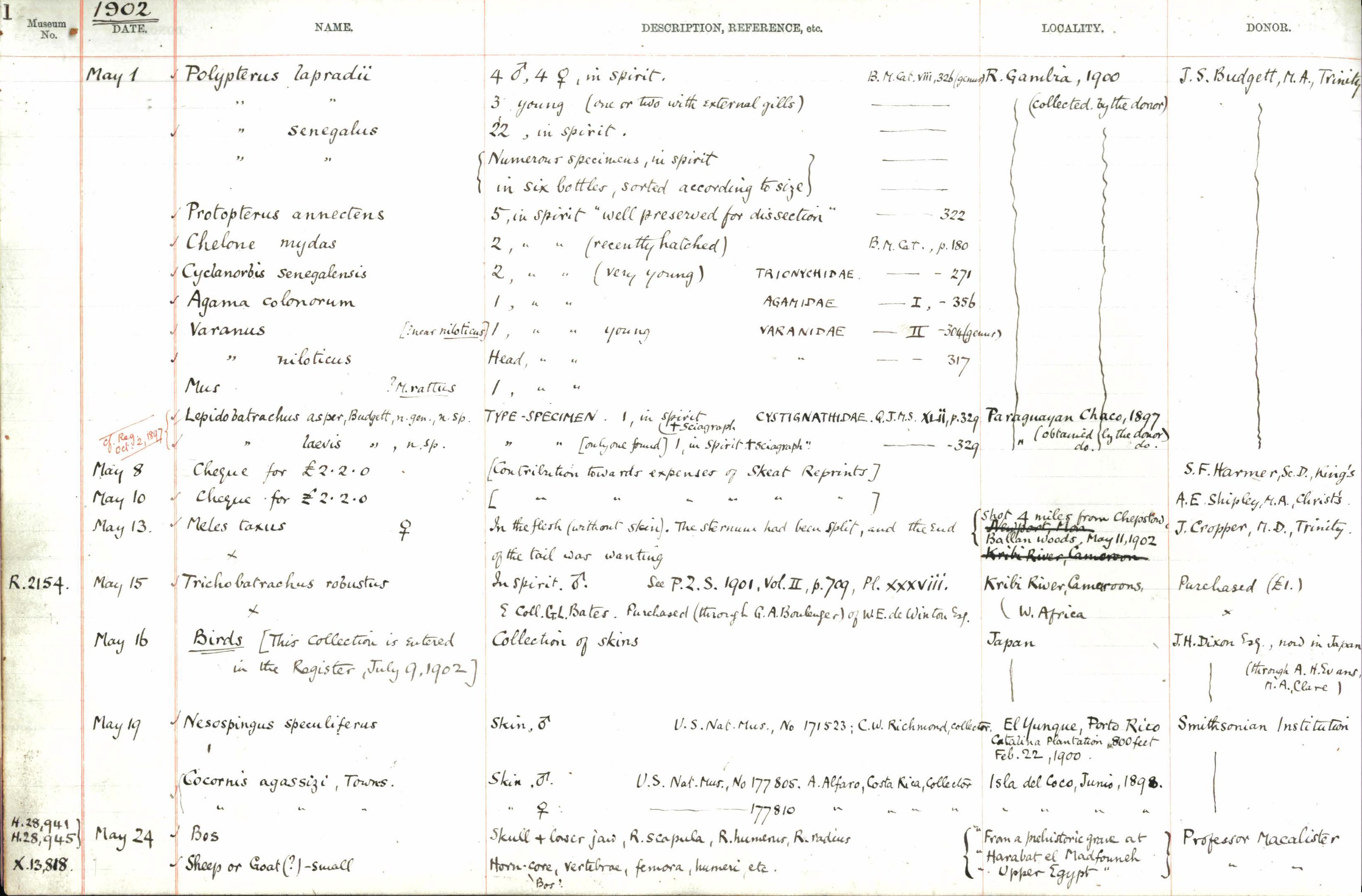 Image of a handwritten register from the Museum of Zoology