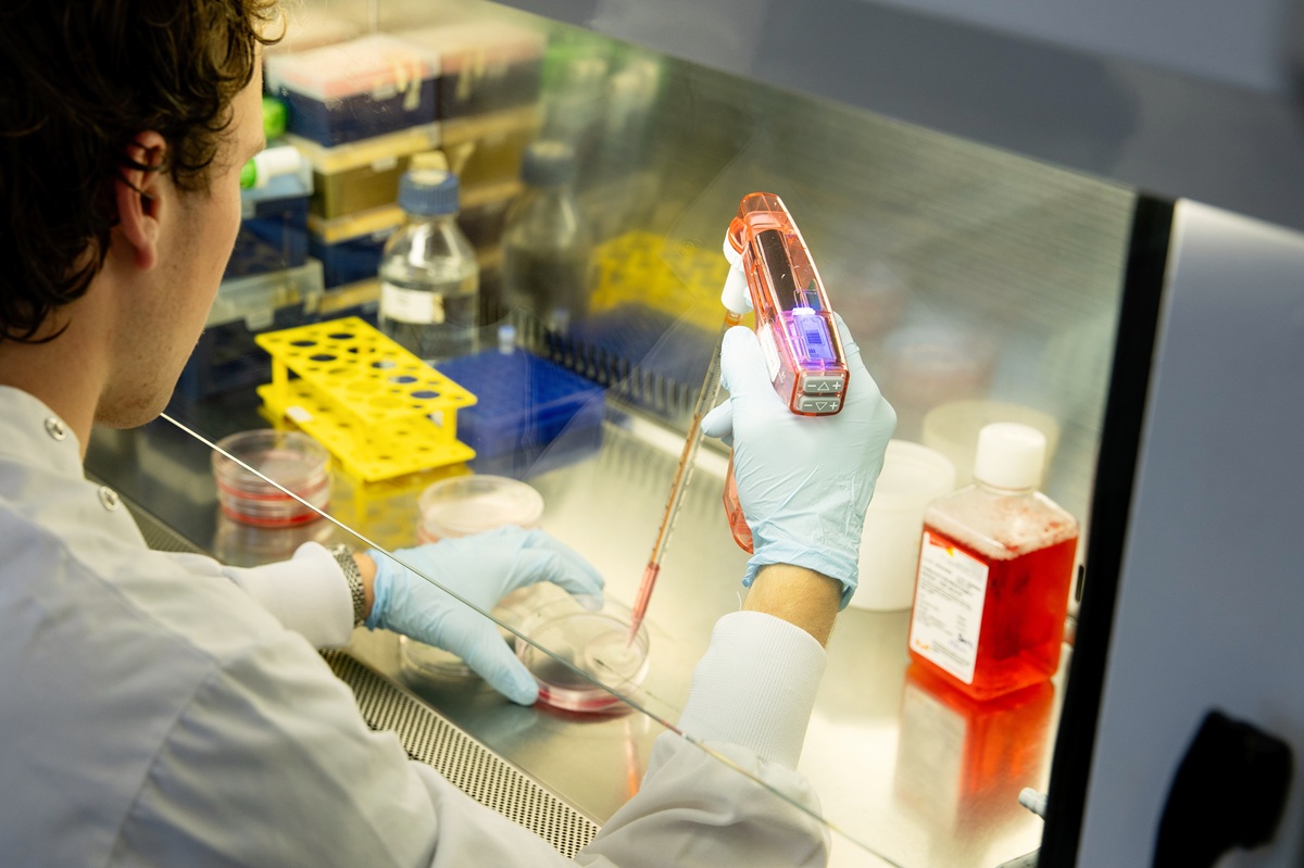 A University student working in a research laboratory at the Department of Pathology. Copyright: University of Cambridge