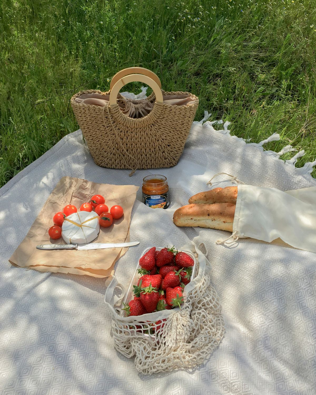 Picnic blanket with cheese, bread and strawberries