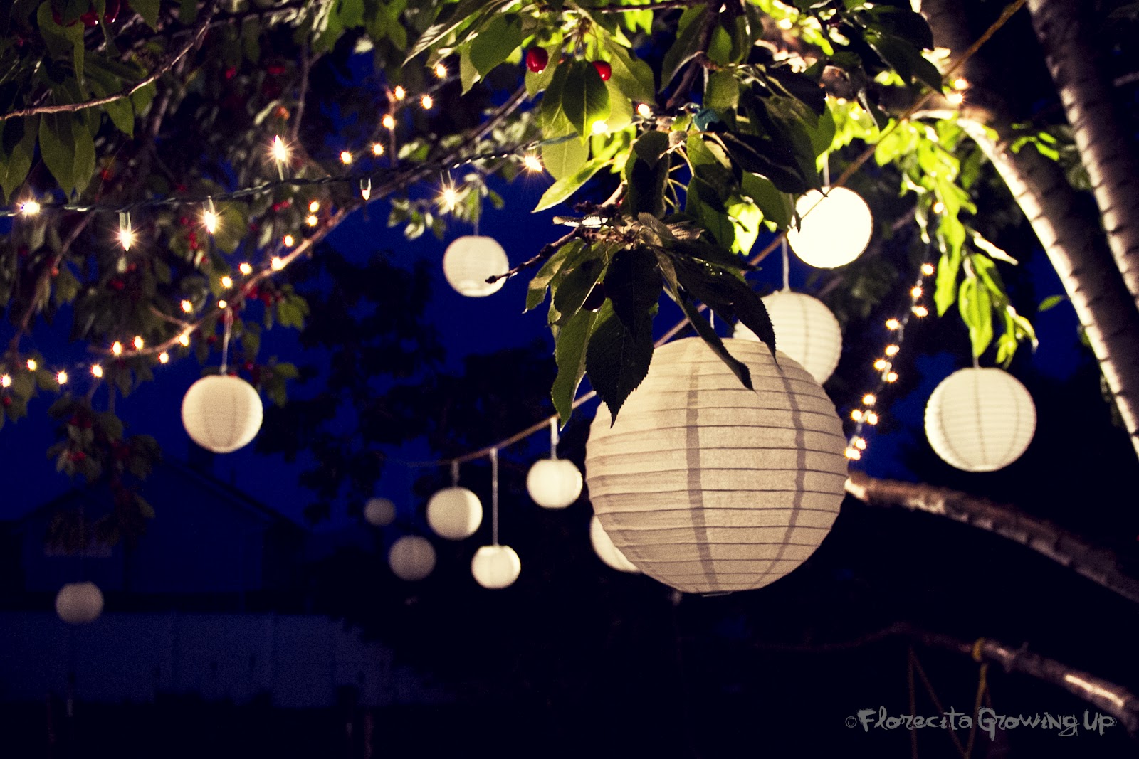 Round lit shades hang from trees in the night sky