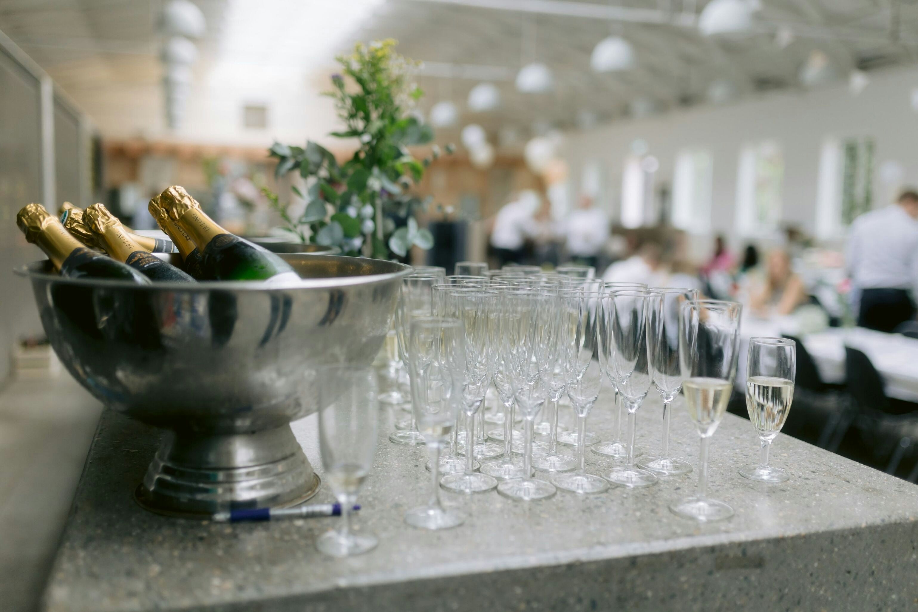 Drinks glasses