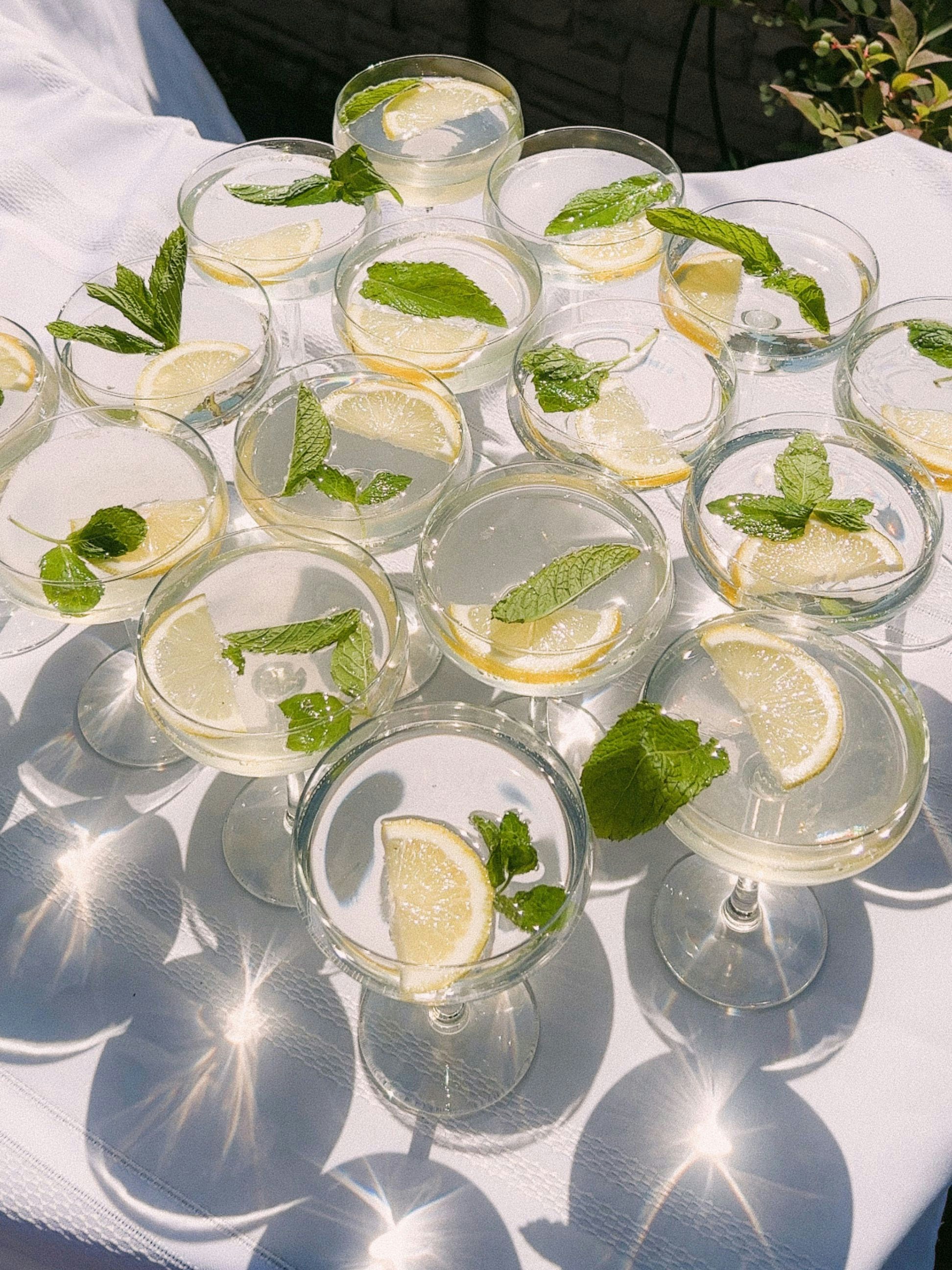 drinks glasses with lemon and mint