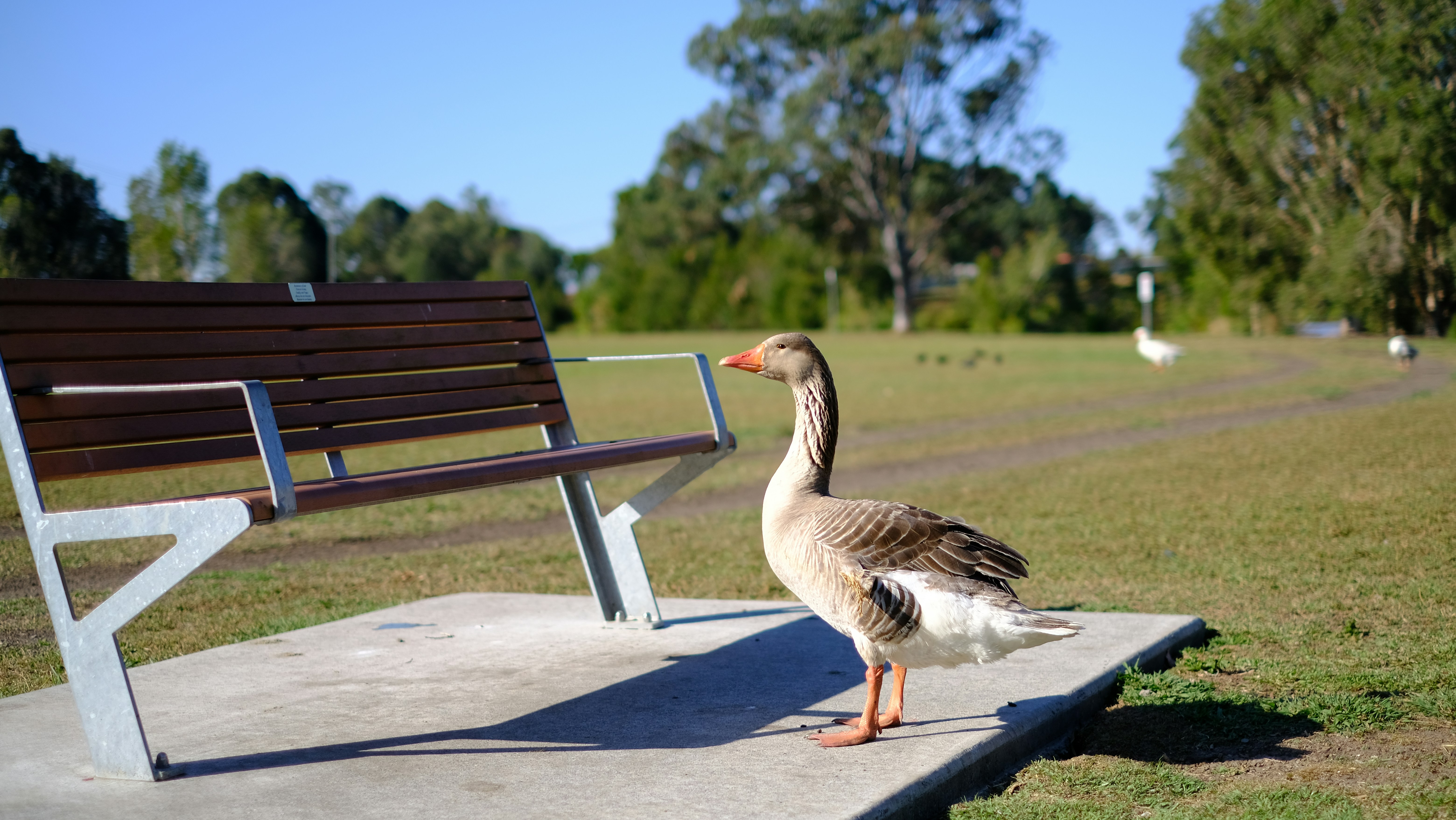 Park