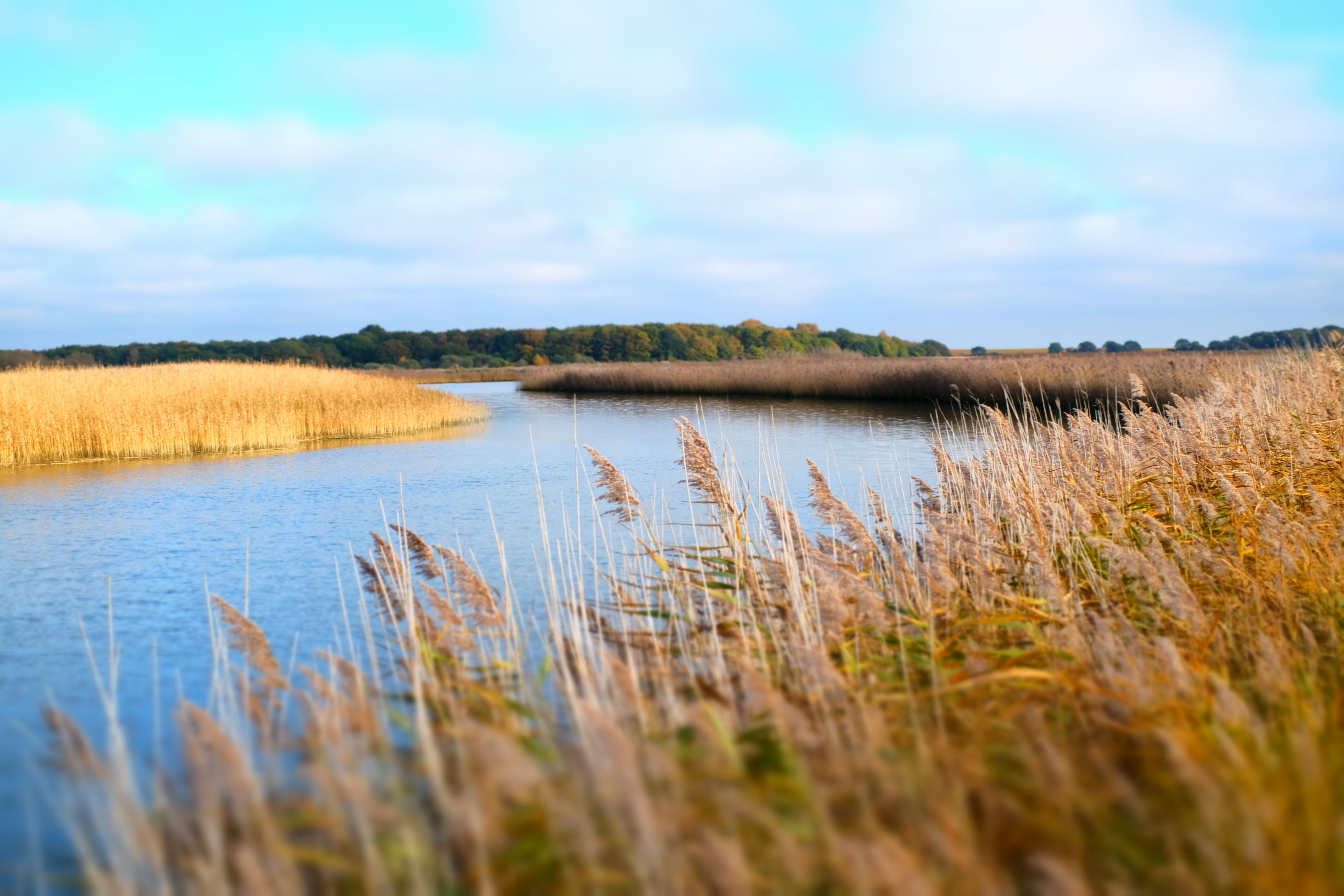 Suffolk