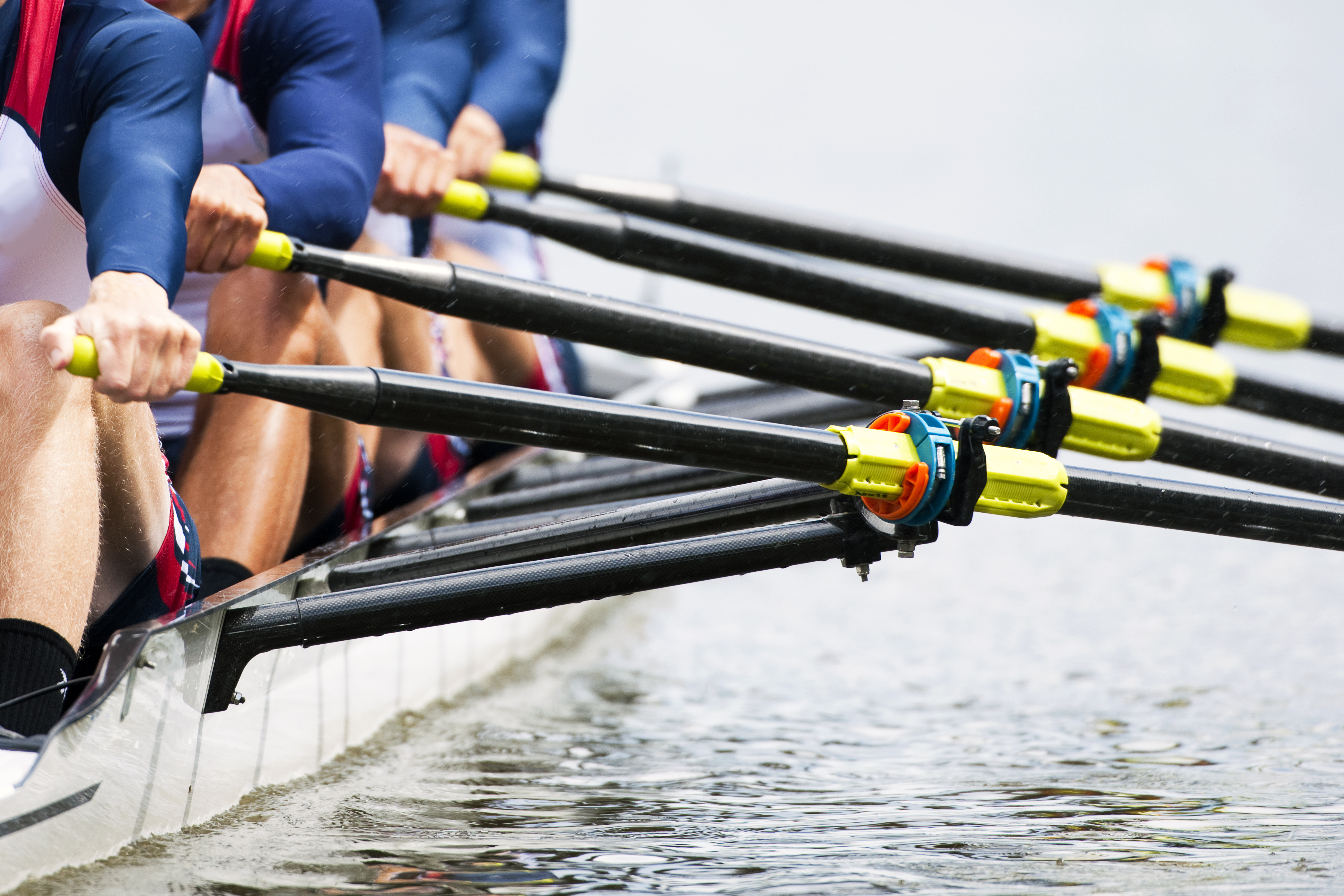 Rowers on the river
