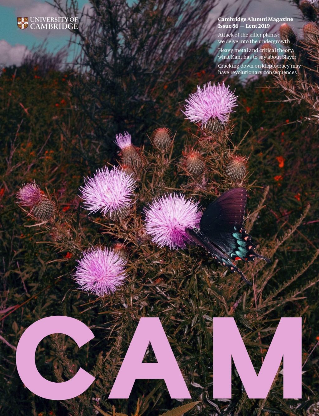 Cover of CAM 86, showing a butterfly on thistles