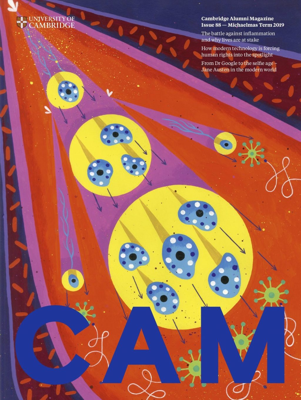 Cover of CAM 88 showing an illustration of cells within the body