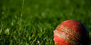 Cricket ball sits on grass