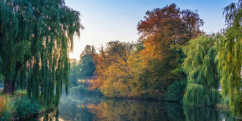 River in the Netherlands