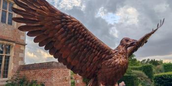 Eagle outside of Doddington Hall
