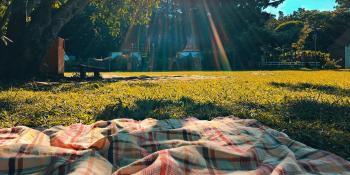 Picnic