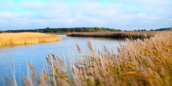 Suffolk
