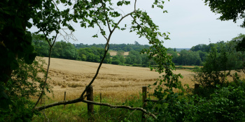 surrey
