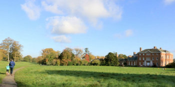 Summer view of Hatchlands Park grounds