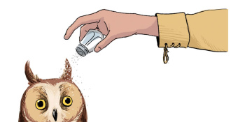 Salting an owl