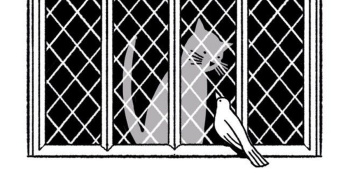Illustration of a cat looking at bird out of a window