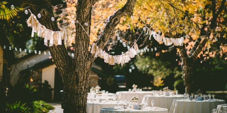 garden_party