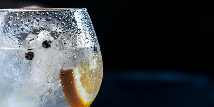 Image of a gin glass