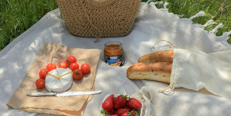 Picnic blanket with cheese, bread and strawberries