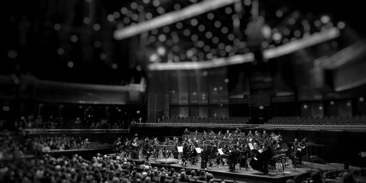 Orchestra in greyscale