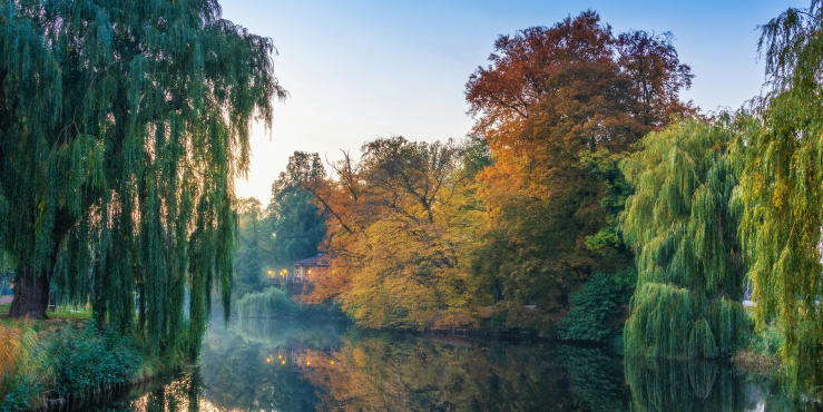 River in the Netherlands