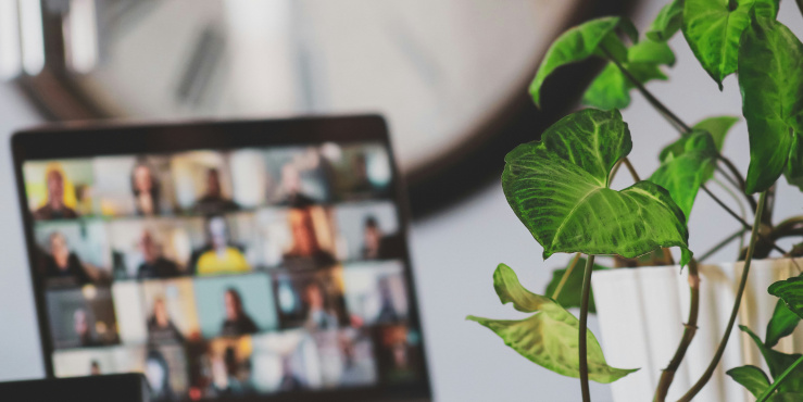 Online Meeting