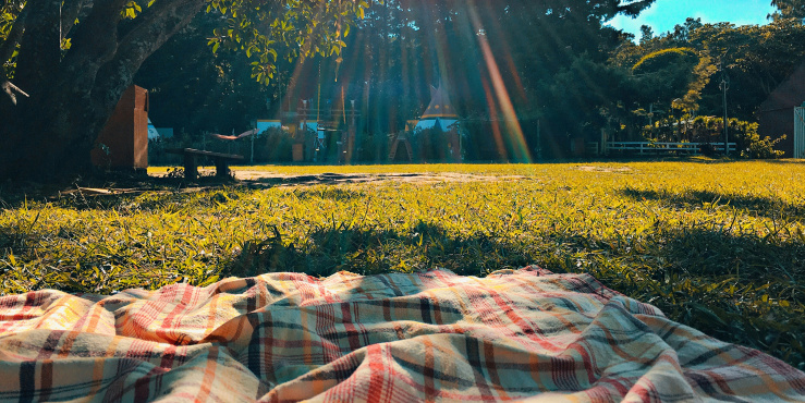 Picnic