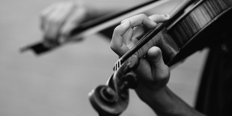 Violin