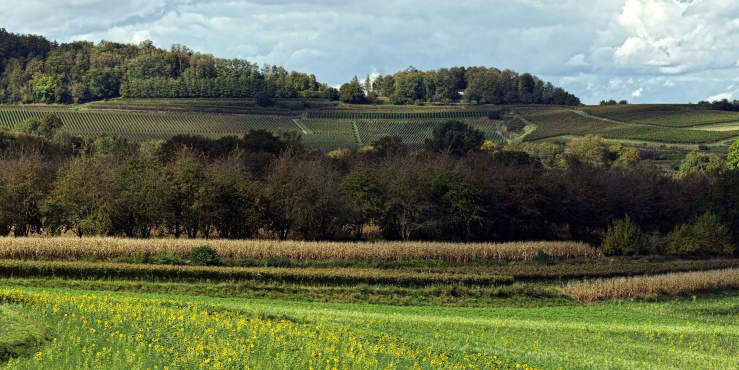 County Durham