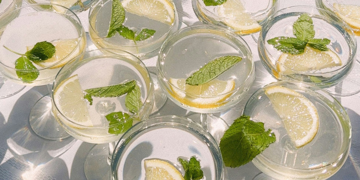 drinks glasses with lemon and mint