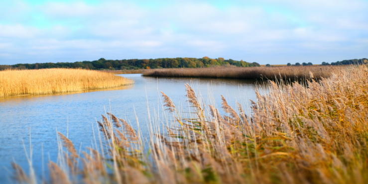 Suffolk