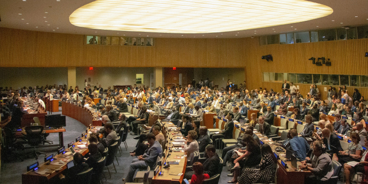 Room of diplomats