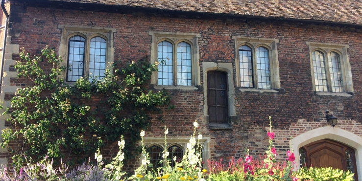 Outside of Trinity Hall building with summer flowers