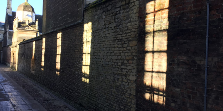 Senate House windows