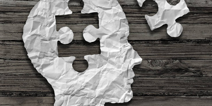 Wisdom taken from a jigsaw puzzle of a head