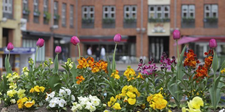 Quayside with tulips