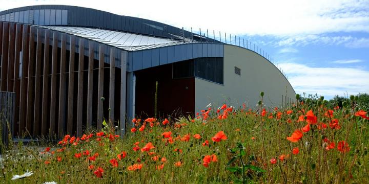 The building during the day with poppies in front