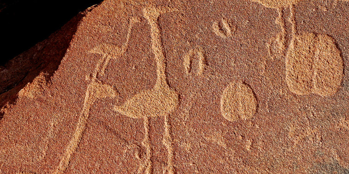 Twyfelfontein birds
