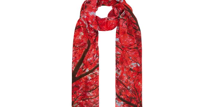 Acer scarf