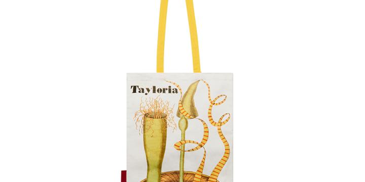 Tayloria bag