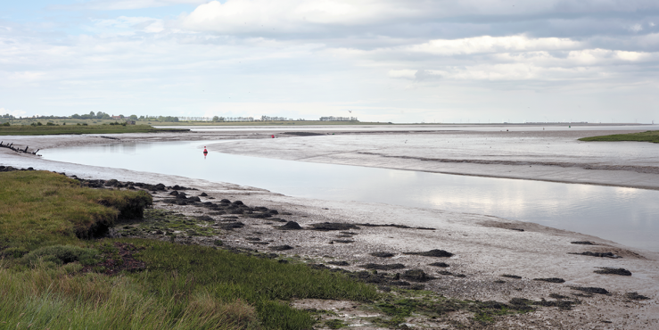 Saltmarsh is one of the most effective habitats in the UK for storing carbon (with 40 times the storage potential of tropical fo