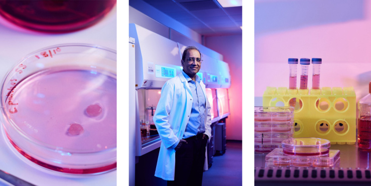 Professor Sanjay Sinha