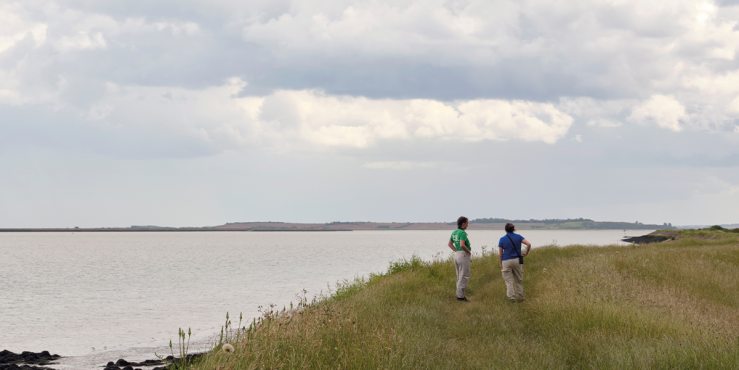 Coastal grazing marsh provides habitats for some of our most endangered species.
