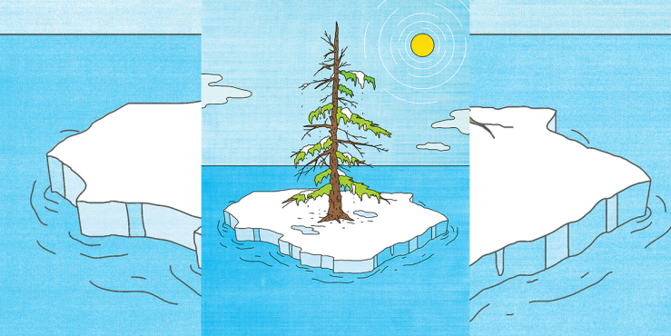 Planting trees image