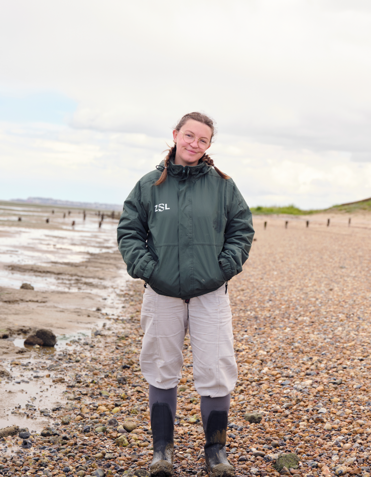 ZSL’s Olwen Belgrove coordinates seagrass restoration and core collection at Seasalter.