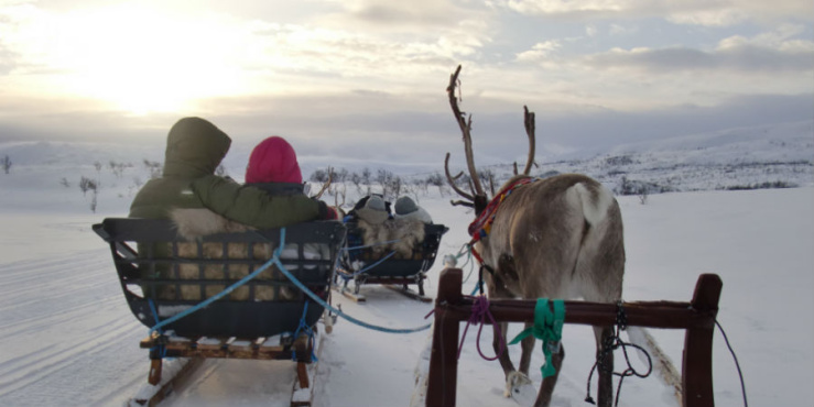 Arctic Highlights
