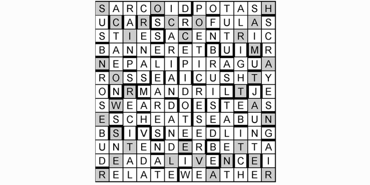 CAM105 crossword solution