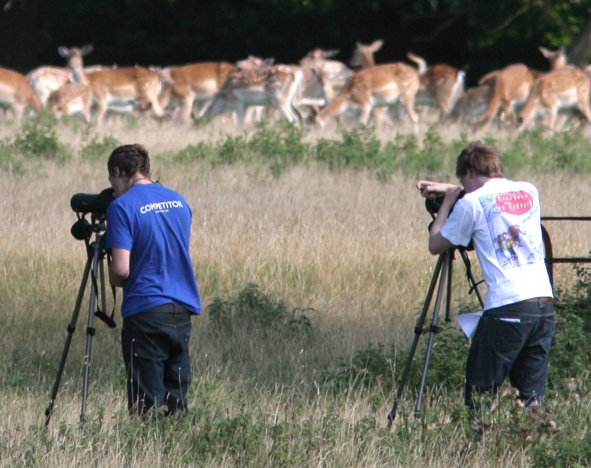 Watching deer on the Field Course