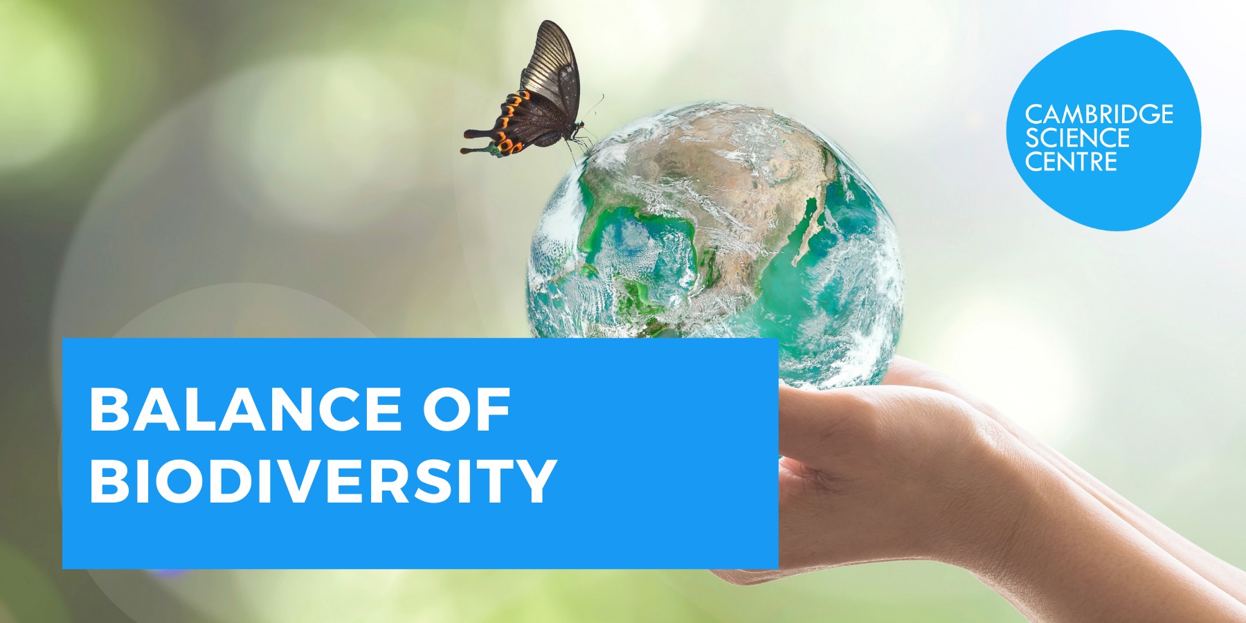 Balance of Biodiversity with a small globe and butterfly
