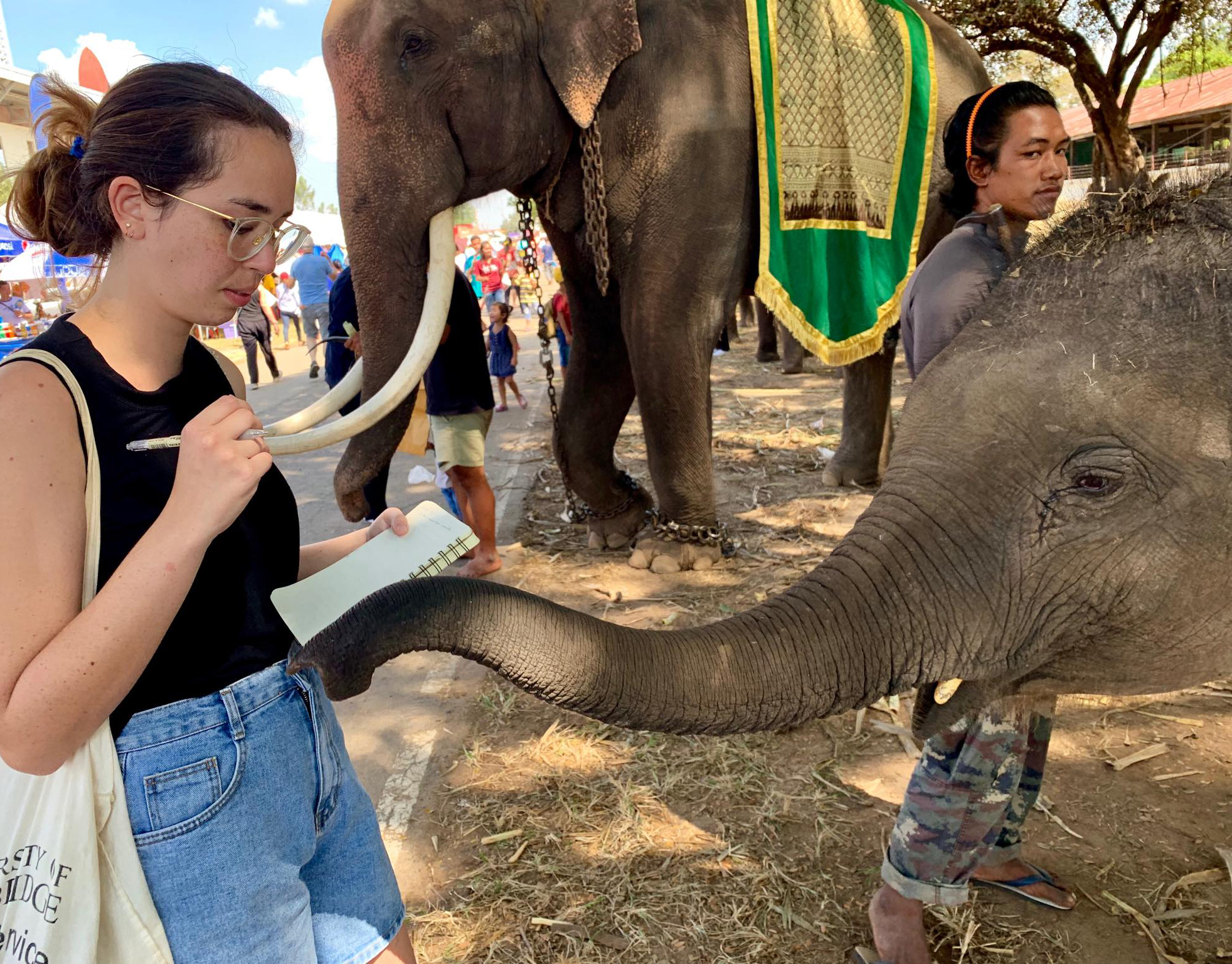 Alisa Santikarn interviewing an elephant